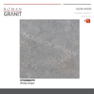 TERMURAH ROMAN GRANIT 60 X 60 GT609881FR DVISBY GRIGIO