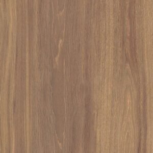 TERMURAH PLATINUM KERAMIK 50/50 DAYTONA BROWN