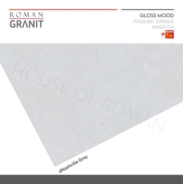 TERMURAH ROMAN GRANIT 60 X 60 GT609830FR dNashville Grey - Image 4