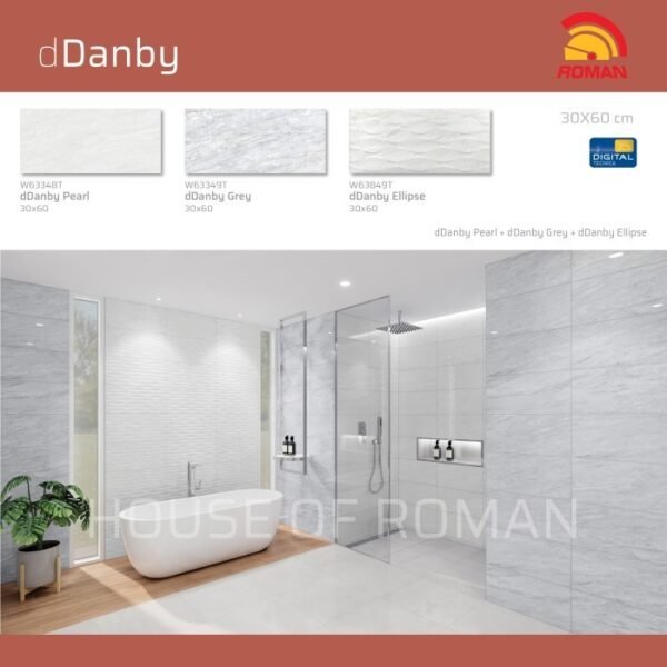 Termurah ROMAN KERAMIK dDanby Ellipse 30x60T W63849T - Image 4