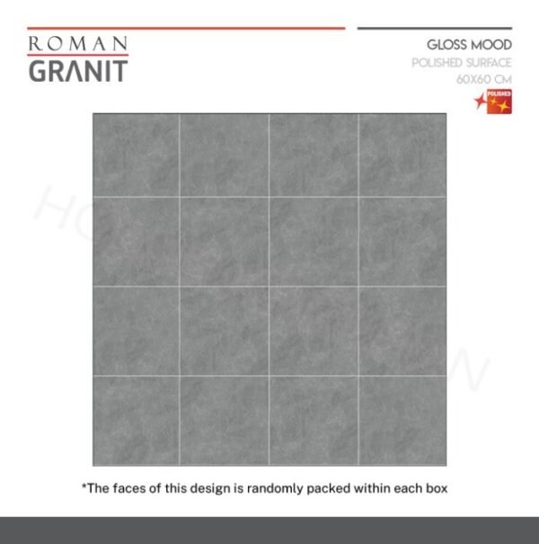 TERMURAH ROMAN GRANIT 60 X 60 GT609753FR dDaegu Grigio - Image 3
