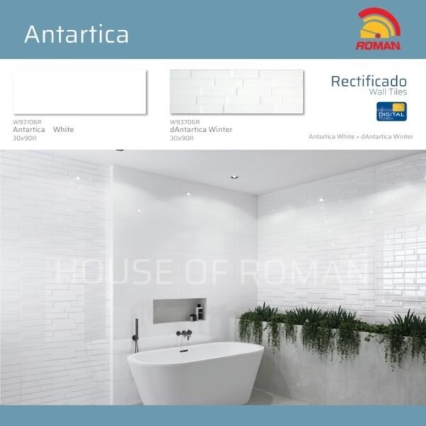 TERMURAH ROMAN KERAMIK 30 x 90R W93706R dANTARTICA WINTER - Image 4