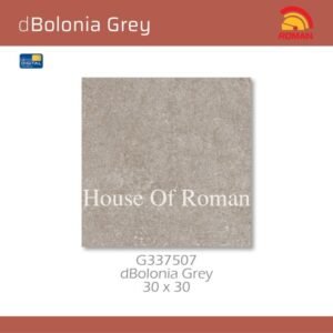 TERMURAH ROMAN KERAMIK 30 X 30 G337507 DBOLONIA GREY GOL. B