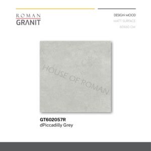 TERMURAH ROMAN GRANIT 60 X 60 GT602057R DPICCADILLY GREY
