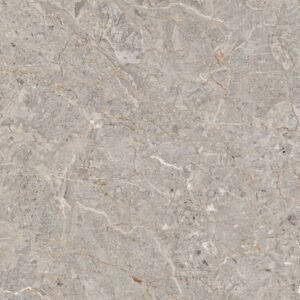 TERMURAH PLATINUM KERAMIK 50/50 LINCOLN GREY REC