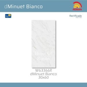 TERMURAH ROMAN KERAMIK 30 X 60 W63366R DMINUET BIANCO GOL. B