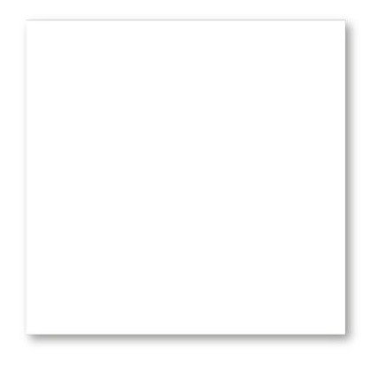 TERMURAH CERANOSA GRANIT 60X60 PUTIH POLOS GLAZURE GLOSSY