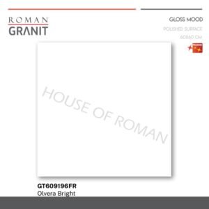 TERMURAH ROMAN GRANIT 60 X 60 GT609196FR OLVERA BRIGHT