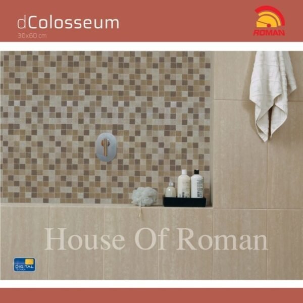 TERMURAH ROMAN KERAMIK 30 X 60 W63575 DCOLOSSEUM BRUNO GOL C - Image 3