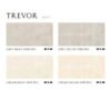 TERMURAH PLATINUM KERAMIK 30/60 TREVOR CREAM BASIC - Image 2