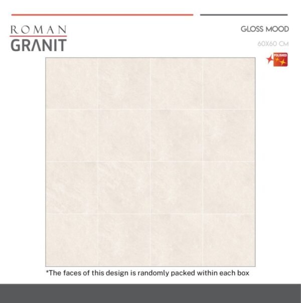 TERMURAH ROMAN GRANIT 60 X 60 GT609812FR DTEXAS STONE - Image 5