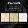 TERMURAH PLATINUM KERAMIK 60/60 SALVATORE GREEN - Image 3