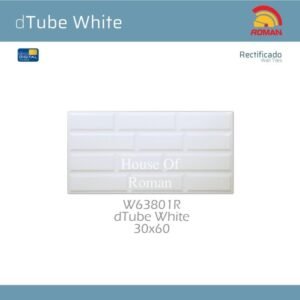 TERMURAH ROMAN 30 X 60 W63801R DTUBE WHITE GOL. D