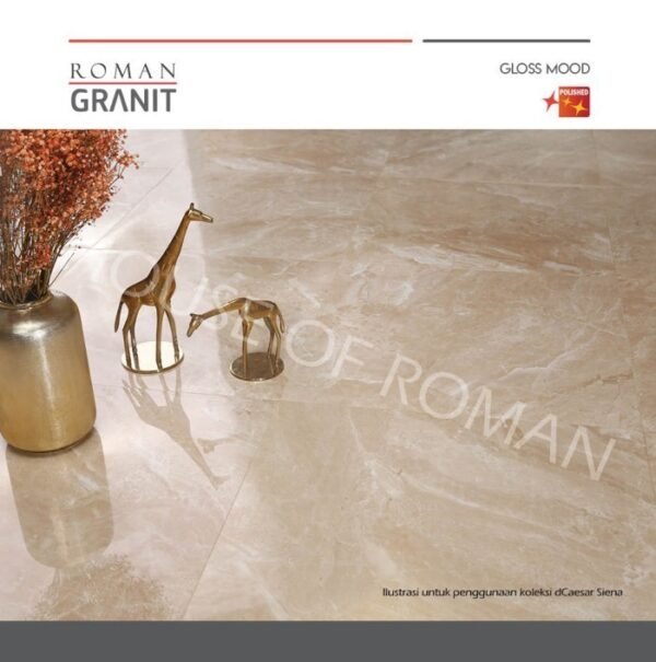 TERMURAH ROMAN GRANIT 60 X 60 GT609860FR DCAESAR GREY (GLOSS) - Image 2