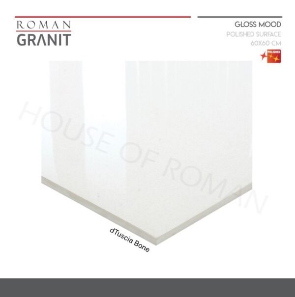 TERMURAH ROMAN GRANIT 60X60 GT609891FR DTUSCIA BONE - Image 3