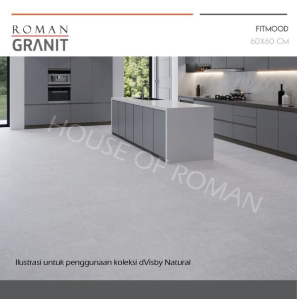TERMURAH ROMAN GRANIT 60 X 60 GT603508AR DVISBY NATURAL - Image 2