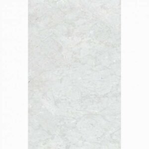 TERMURAH PLATINUM KERAMIK 25/40 BRISTLE & BELVIA BASIC