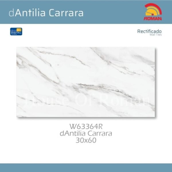 TERMURAH ROMAN KERAMIK 30 X 60R W63364R DANTILIA CARRARA