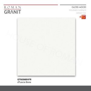 TERMURAH ROMAN GRANIT 60X60 GT609891FR DTUSCIA BONE