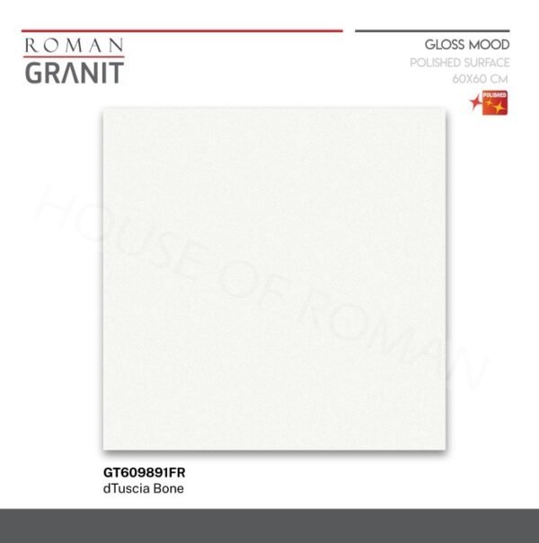 TERMURAH ROMAN GRANIT 60X60 GT609891FR DTUSCIA BONE