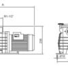 TERMURAH KRIPSOL POMPA KOLAM RENANG ODINA (0,75HP ; 0,75KW) THREE FASE - Image 2