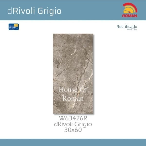 TERMURAH ROMAN KERAMIK 30 X 60 W63426R DRIVOLI GRIGIO GOL. C