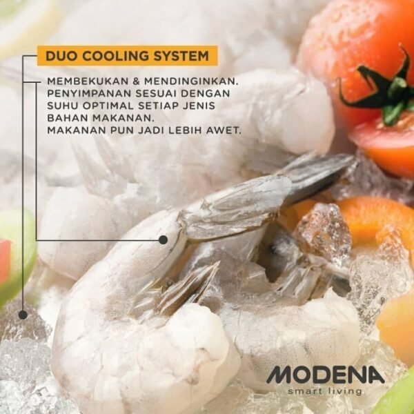 TERMURAH MODENA MD 20 W PROFESSIONAL CHEST FREEZER CONSERVA 205LITER - Image 2