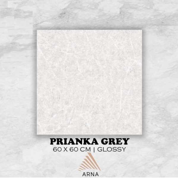 TERMURAH ARNA GRANIT 60 X 60 PRIANKA GREY - Image 2