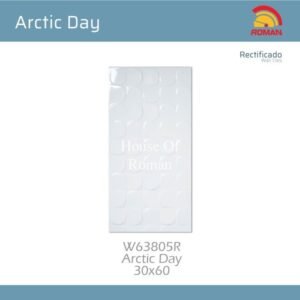 TERMURAH ROMAN KERAMIK 30 X 60 W63805R ARCTIC DAY GOL. B