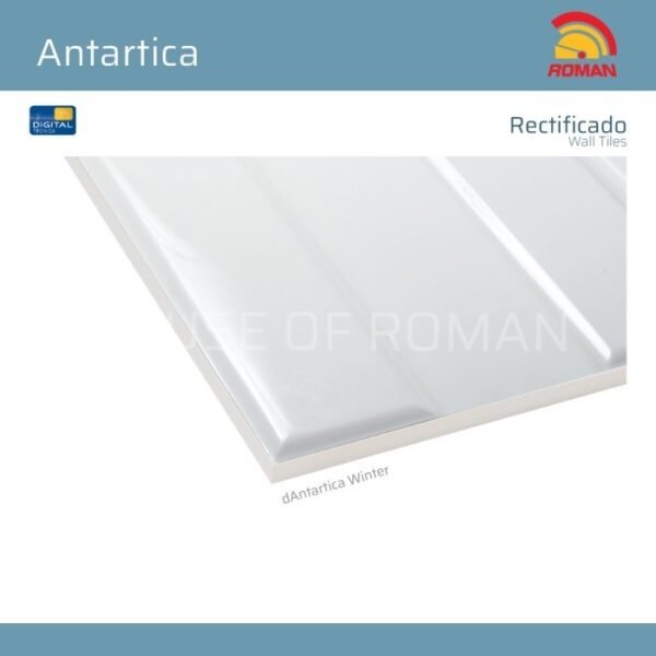 TERMURAH ROMAN KERAMIK 30 x 90R W93706R dANTARTICA WINTER - Image 3