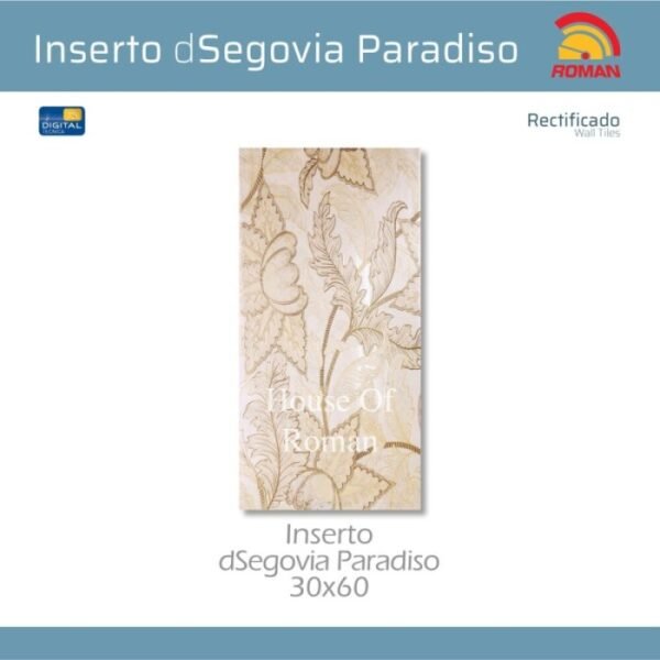 TERMURAH ROMAN INSERTO 30 X 60 I60C0002R DSEGOVIA PARADISO