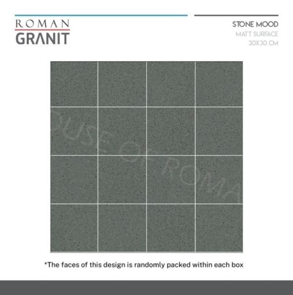 Termurah ROMANGRANIT dZagreb Grigio 30x30 GT332411R ROMAN GRANIT - Image 5
