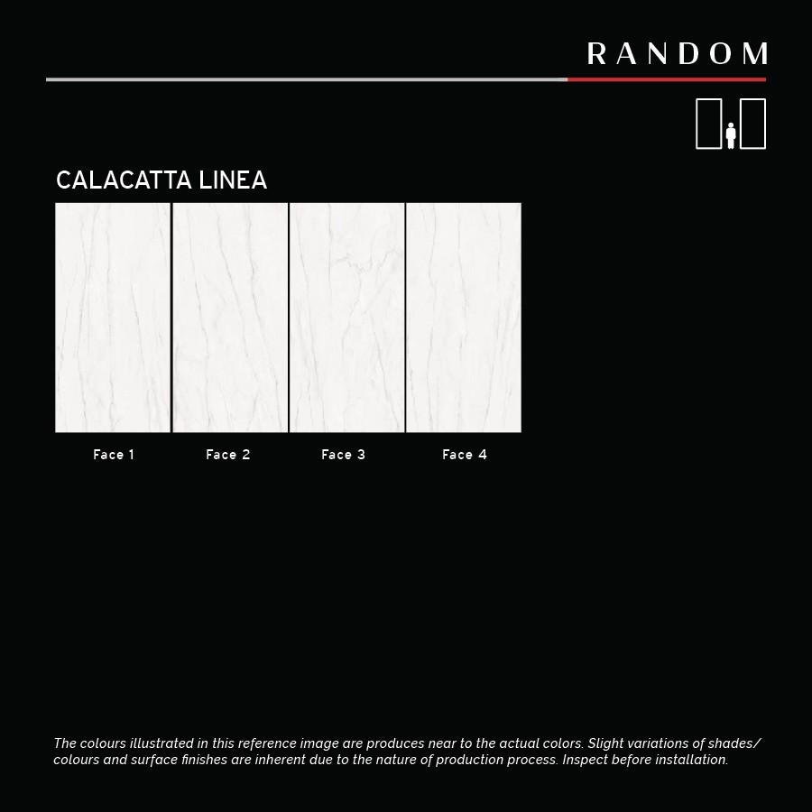 Calacatta Linea