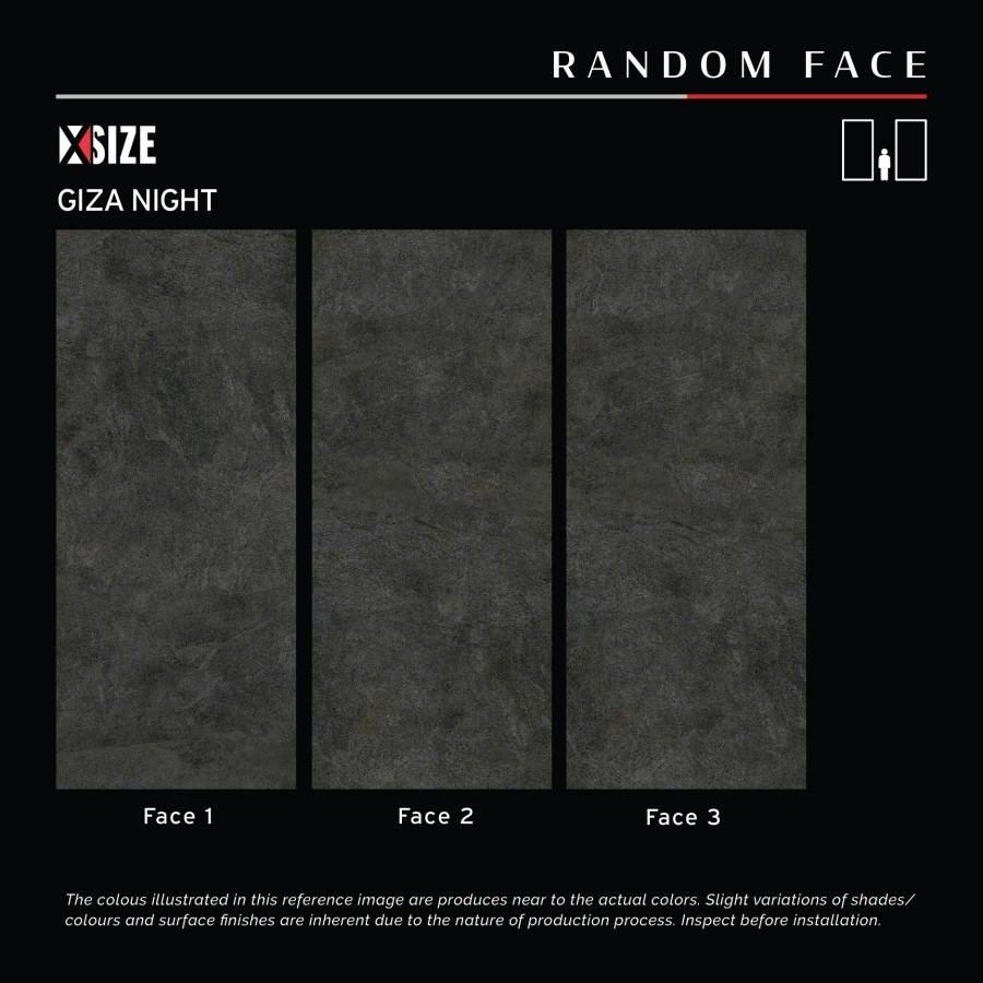 Giza Night