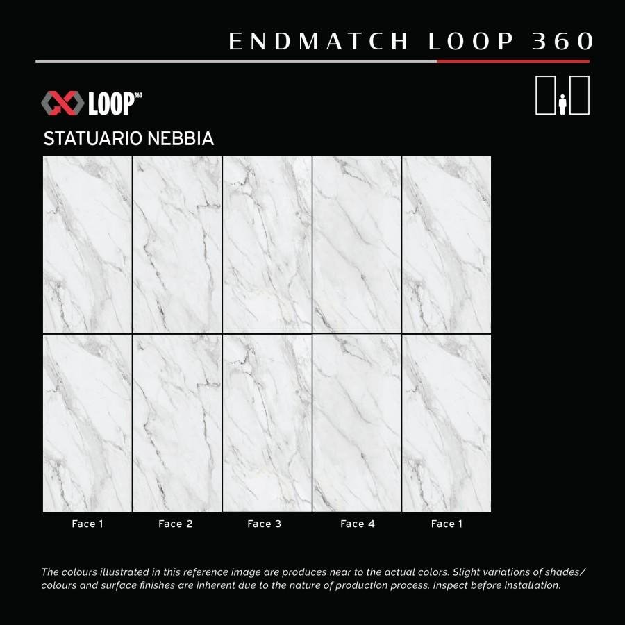 STATUARIO NEBBIA 120X120