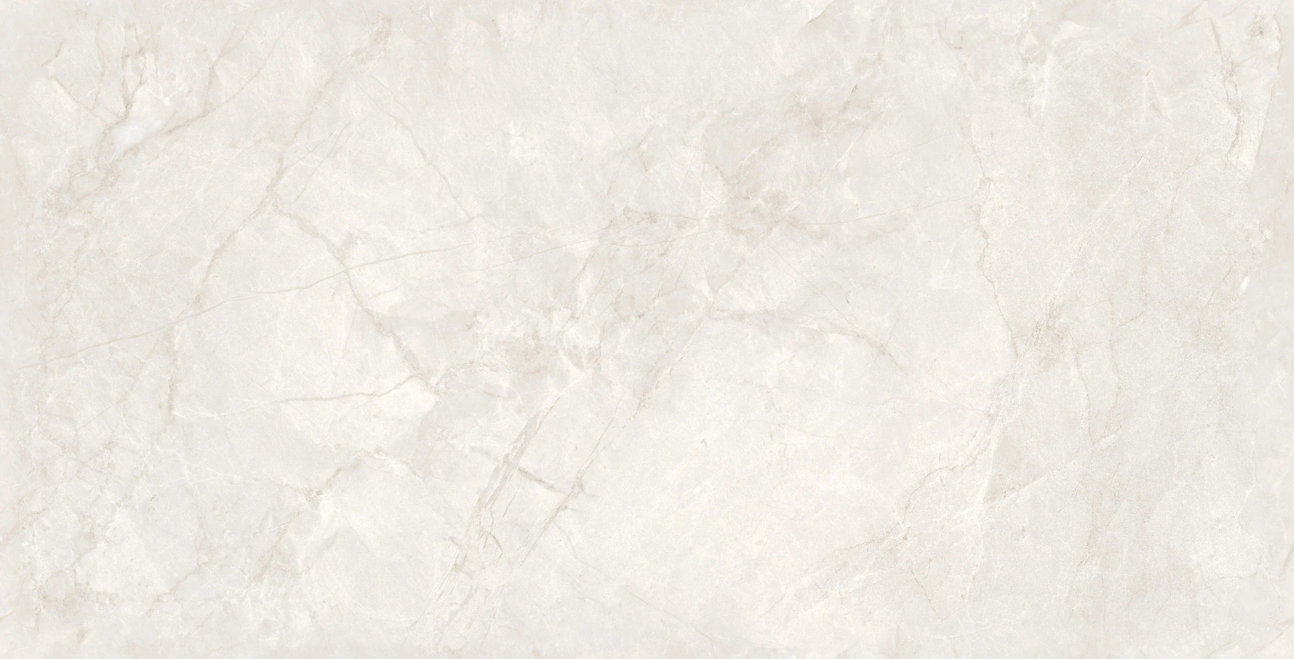 AKONITO BIANCO 120X240
