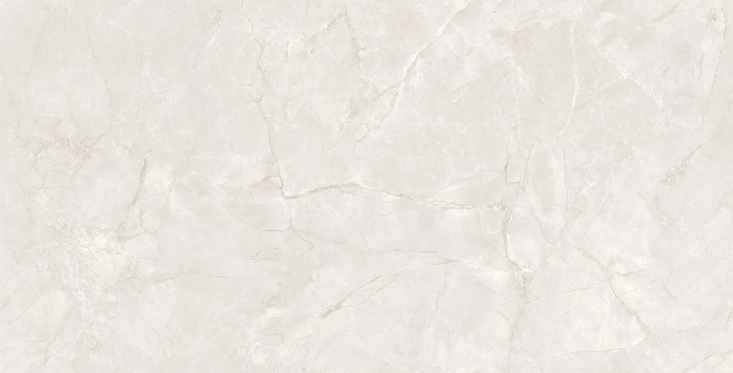 AKONITO BIANCO 120X240 - Image 4