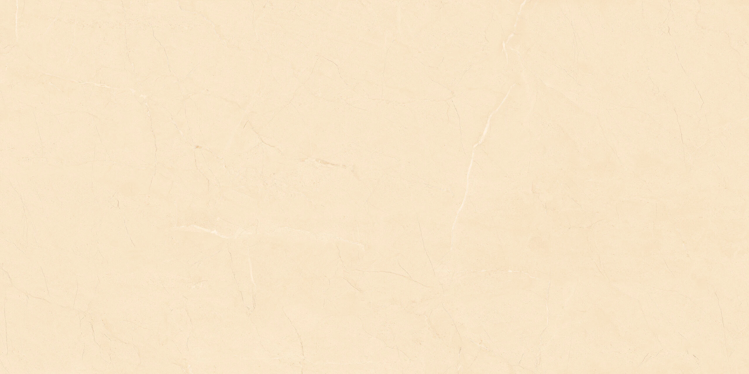 BARROCA CREMA 120X60 - Image 2