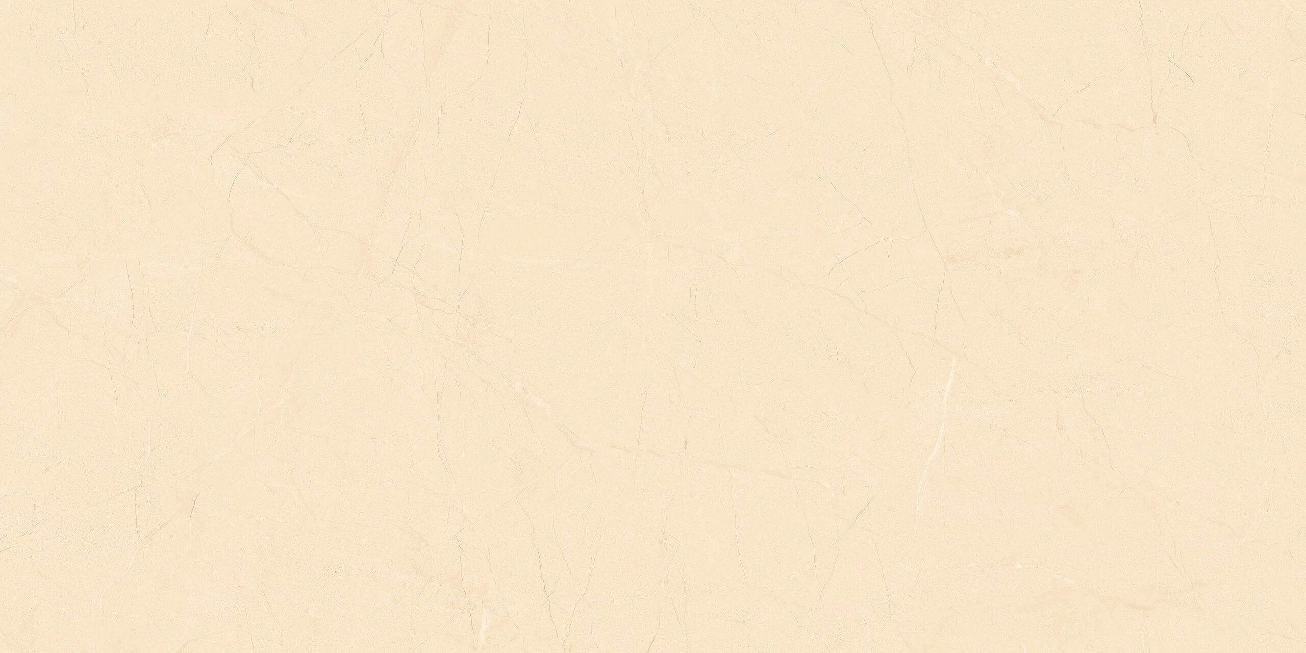 BARROCA CREMA 120X60 - Image 3