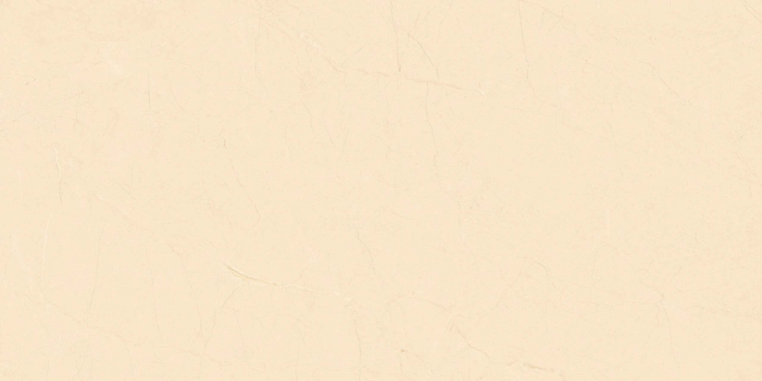 BARROCA CREMA 120X60 - Image 5
