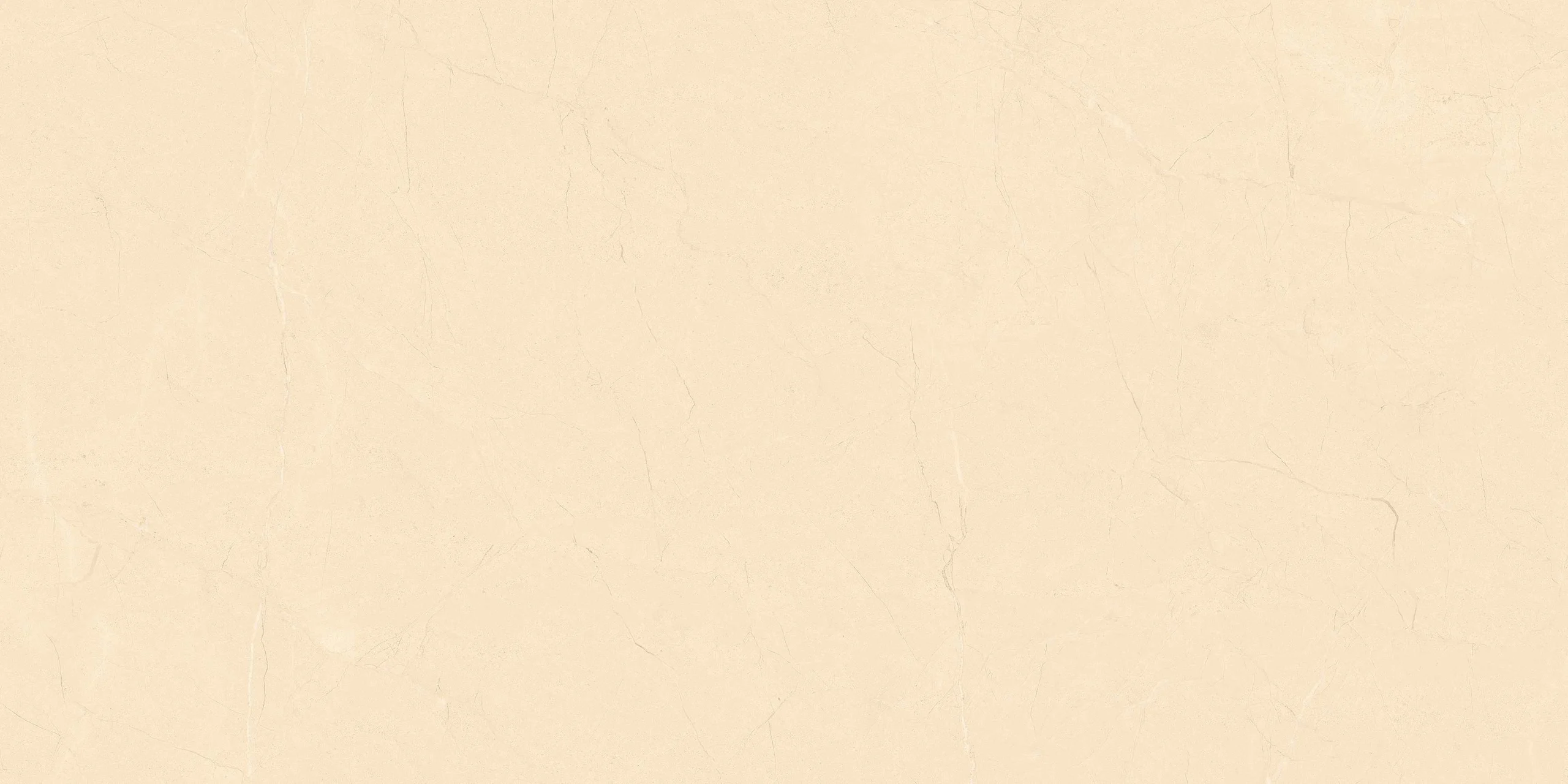 BARROCA CREMA 120X60 - Image 6