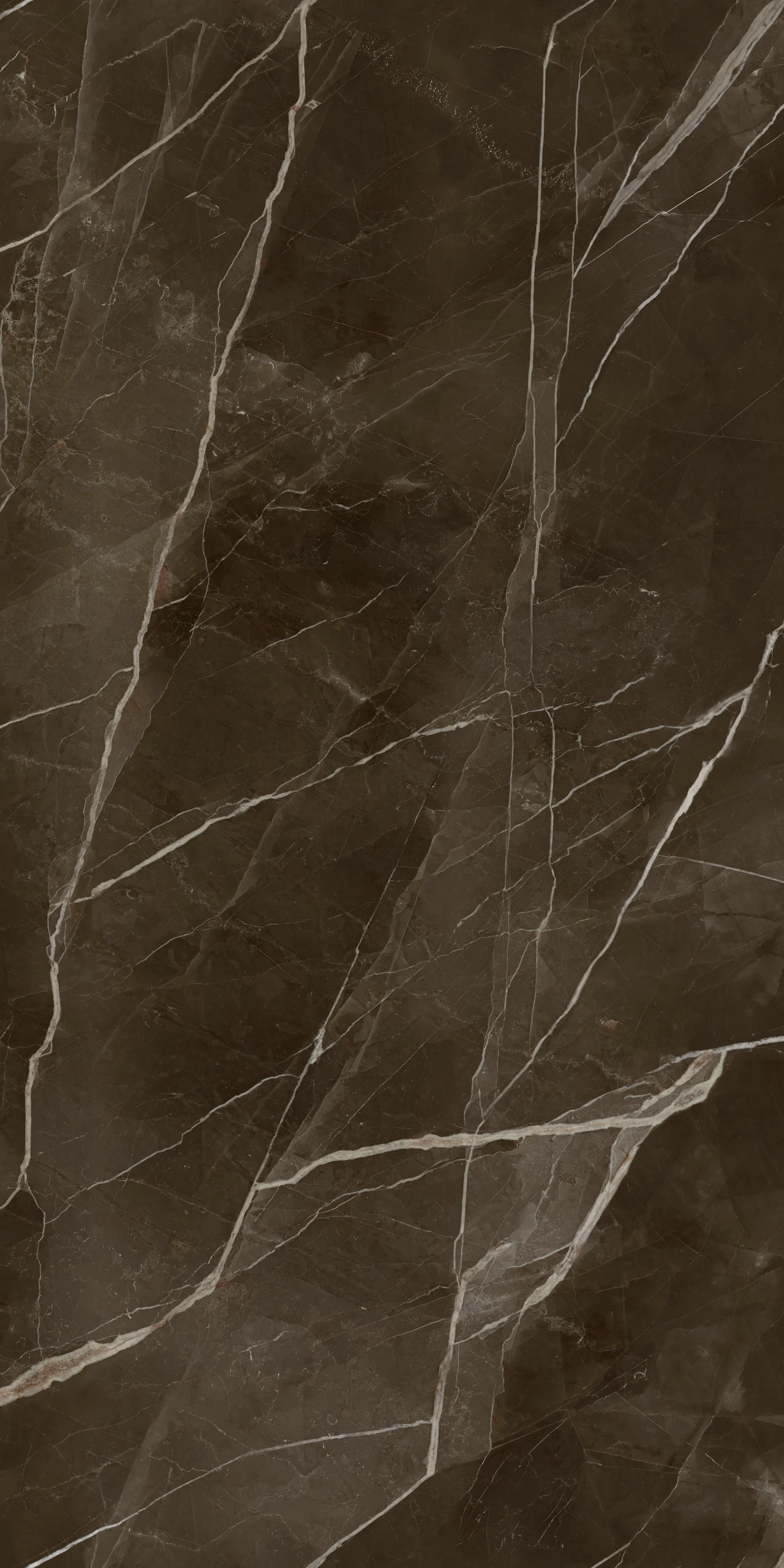 CALACATTA THUNDER MARRONE 120X240