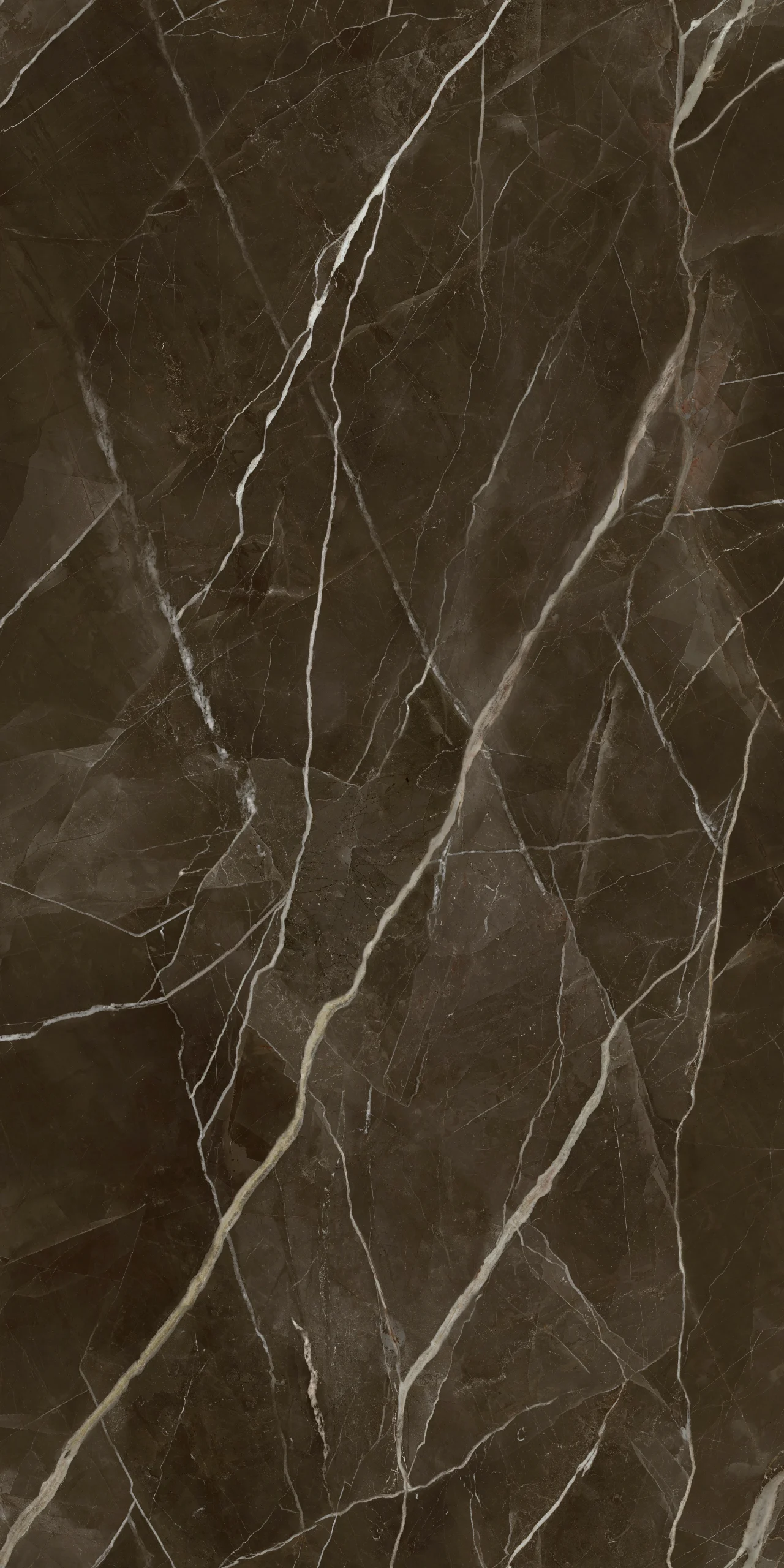 CALACATTA THUNDER MARRONE 120X240 - Image 2