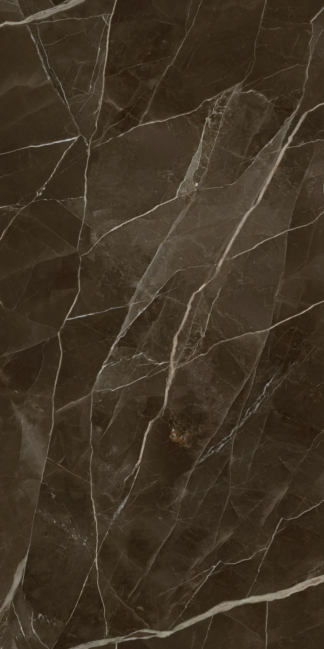 CALACATTA THUNDER MARRONE 120X240 - Image 3