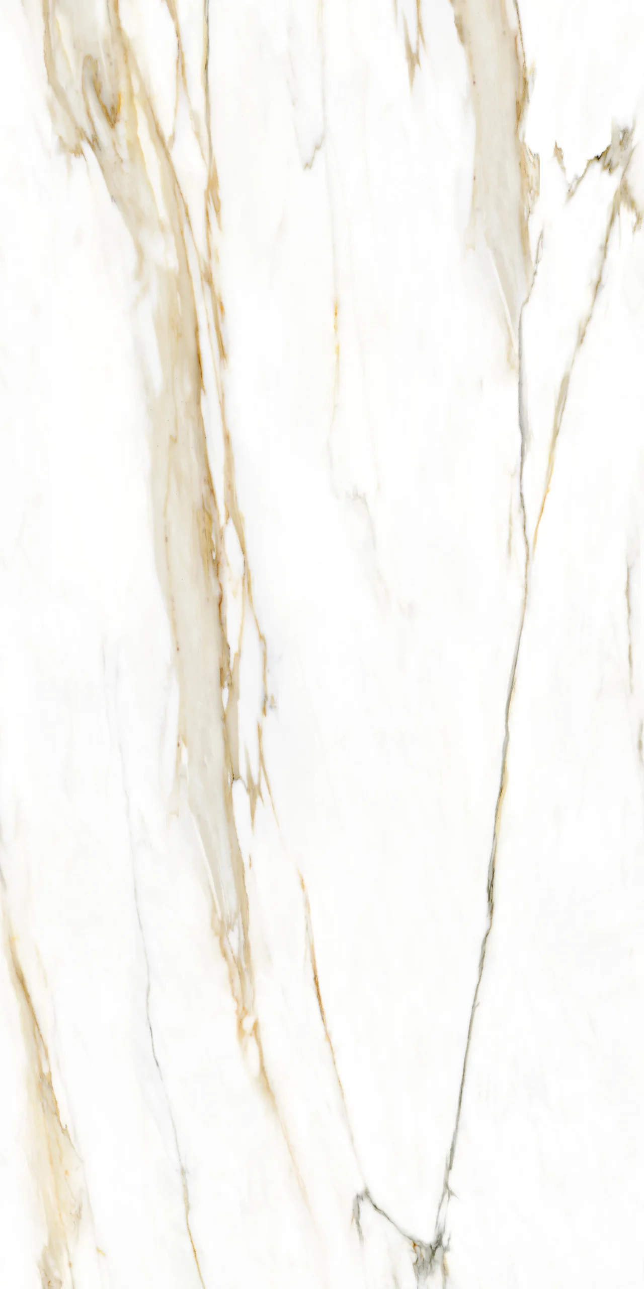 CALCITE ORO GLOSSY 120X240 - Image 4