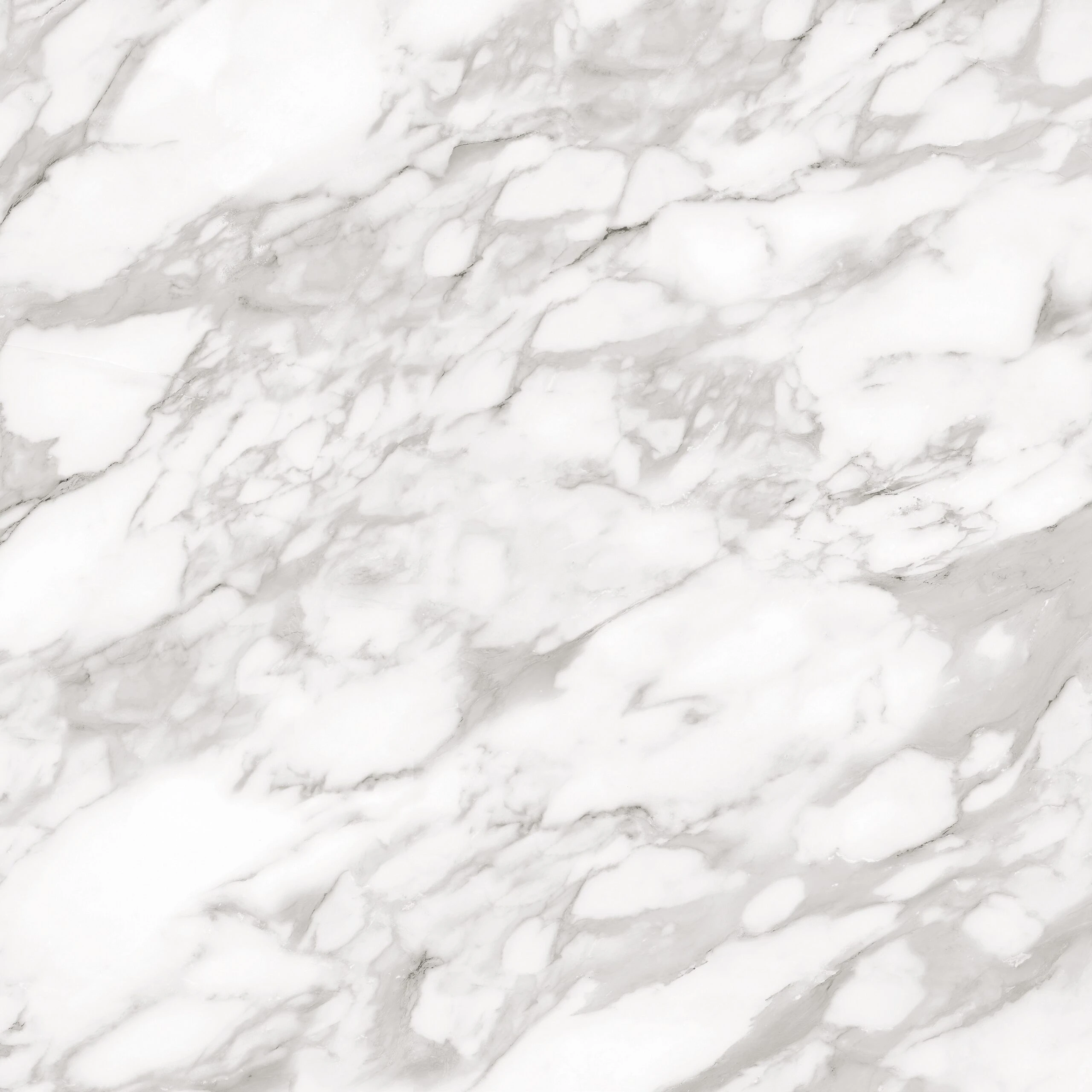 CARRARA GRIGIO 120X120