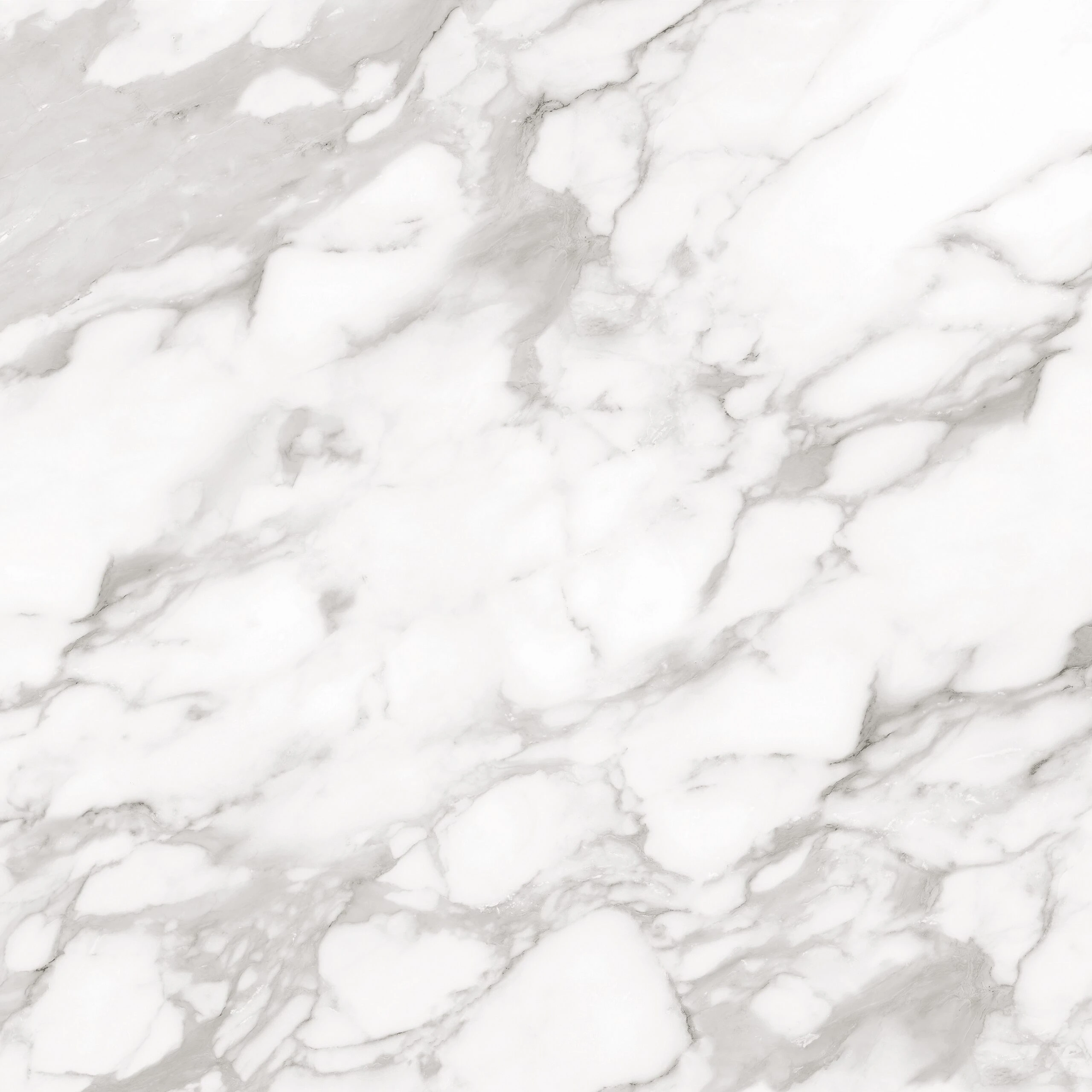 CARRARA GRIGIO 120X120 - Image 4
