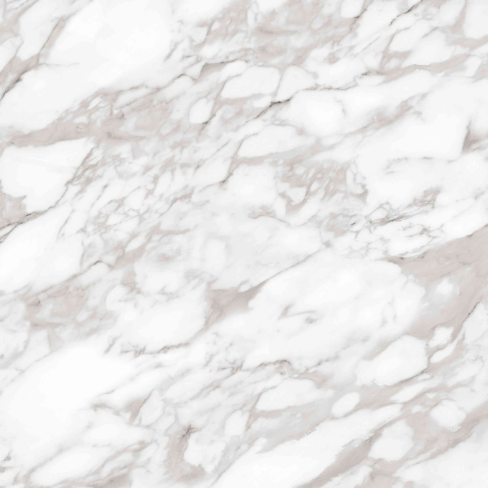 CARRARA GRIGIO 120X120 - Image 7