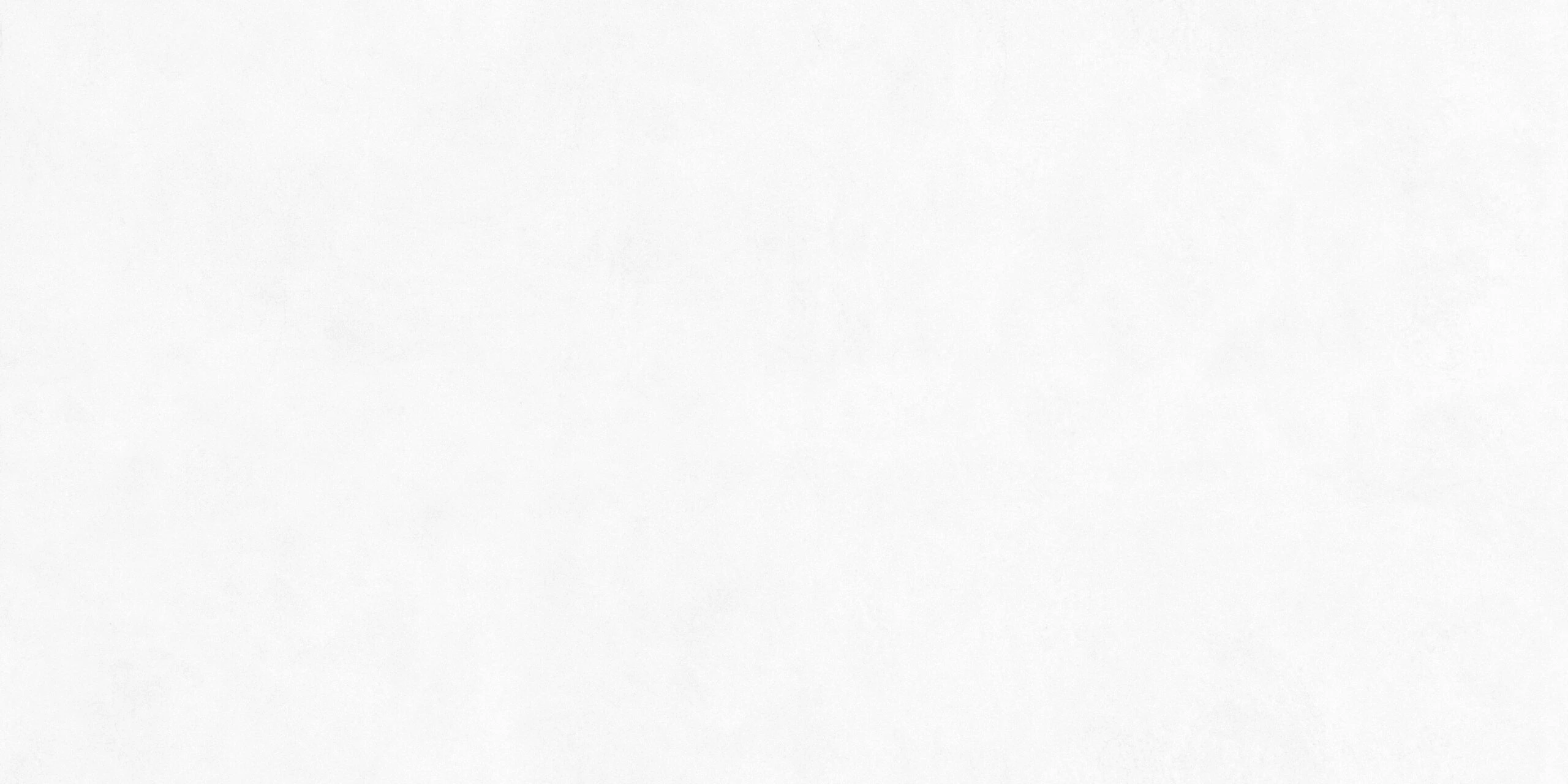 CONCRETO ROMANO BIANCO 120X240 - Image 2