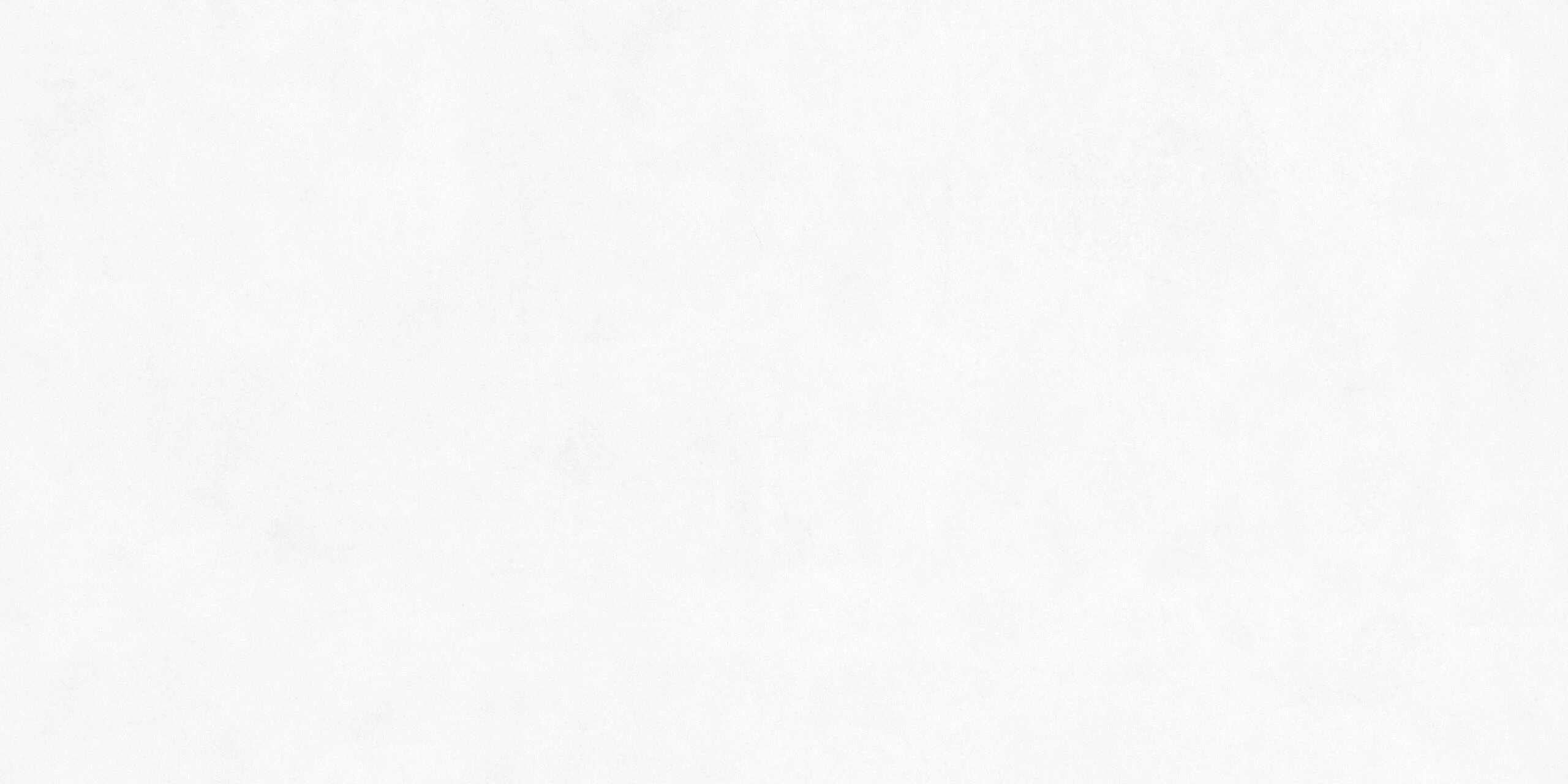 CONCRETO ROMANO BIANCO 120X240 - Image 4